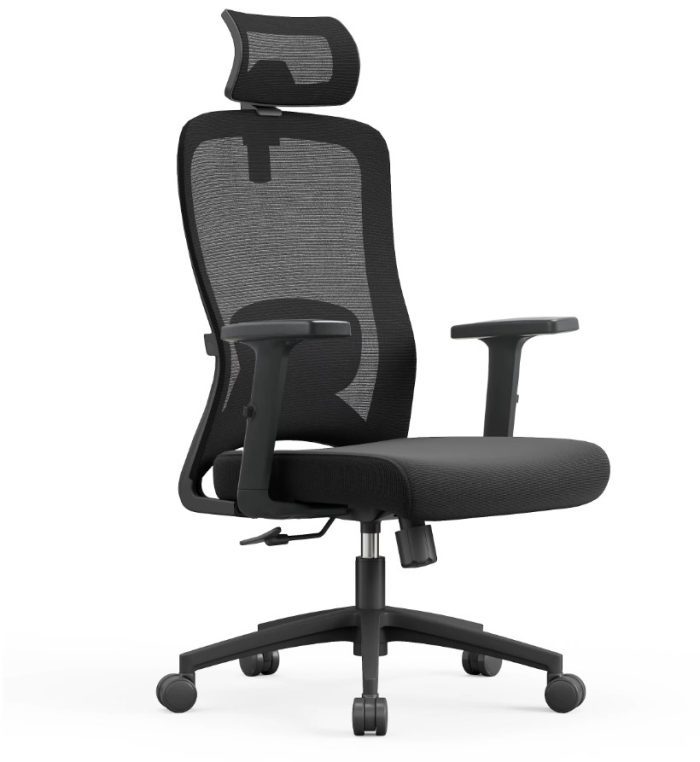 CH-OM-SMY Ergonomic Office Chair Set | Adjustable Lumbar, Headrest & Arms - Image 3
