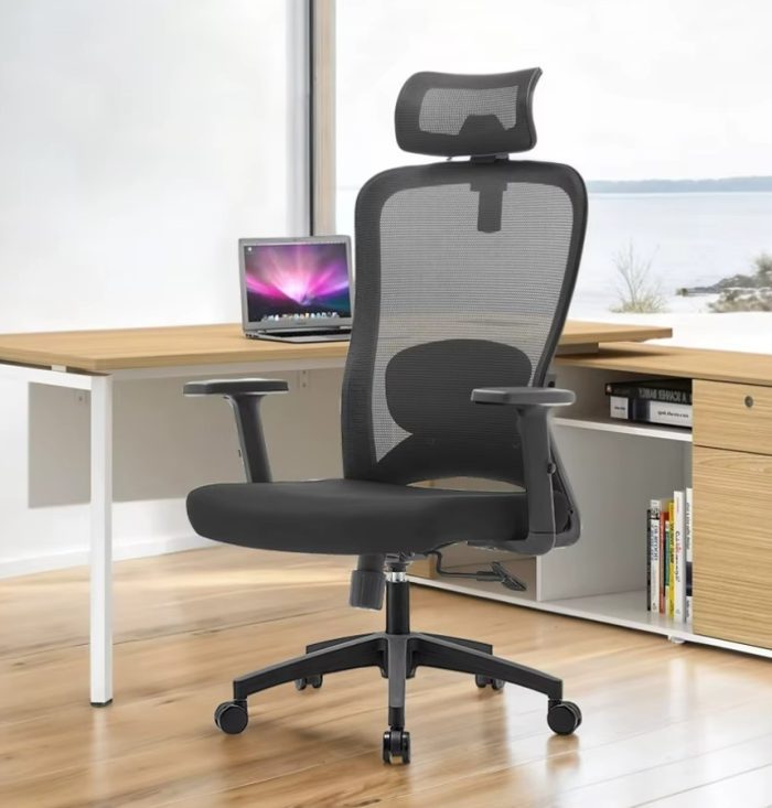 CH-OM-SMY Ergonomic Office Chair Set | Adjustable Lumbar, Headrest & Arms - Image 2