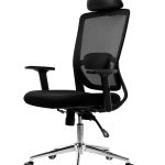 CH-GL-134-H Ergonomic Office Chair Set | Adjustable Lumbar, Headrest & Arms